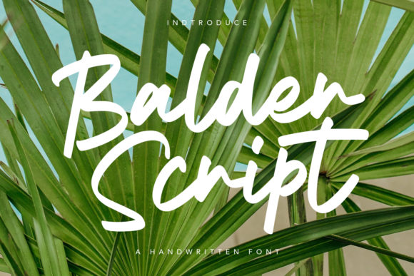 Balder Script Font for Professional Branding