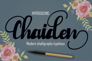 Chaiden: A Bold Script Handwritten Font for Editorial Charm