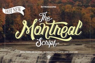 Montreal Script: A Nostalgic & Sophisticated Script Font for Campaigns That Stick
