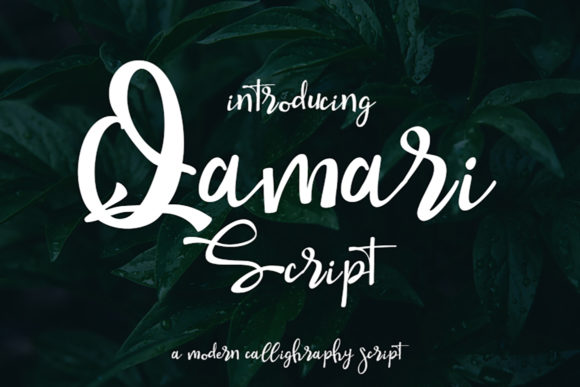 Qamari Script: An Elegant Script Handwritten Font for Campaign Design